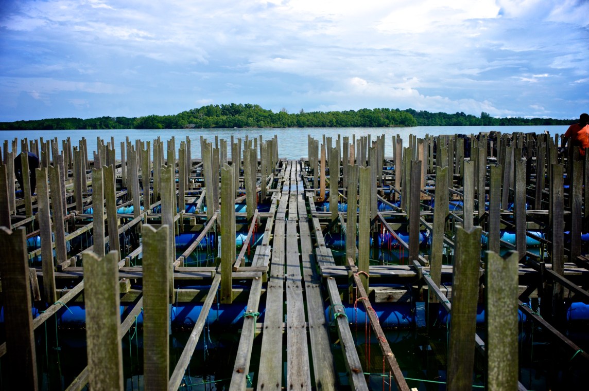 Hai Loong Marineculture 07