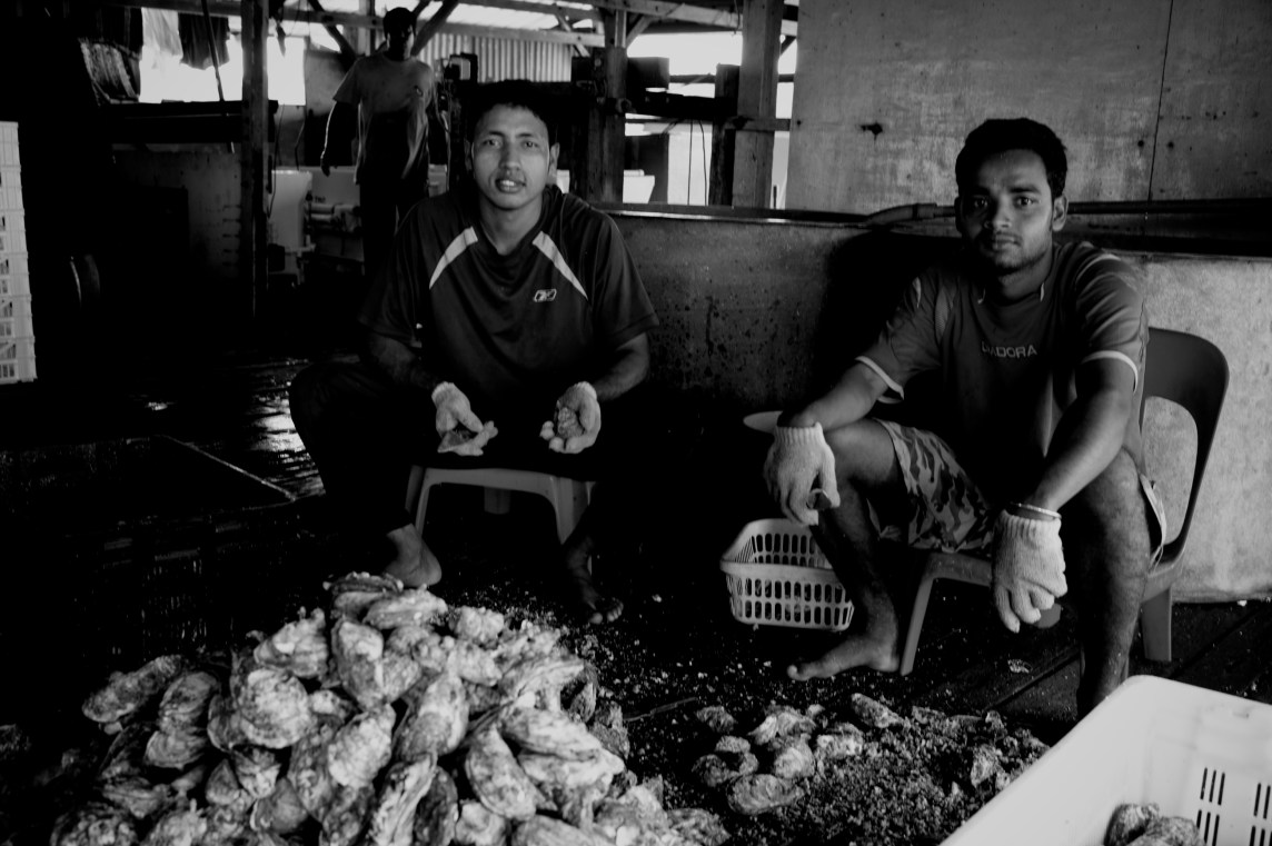 Hai Loong Marineculture 10