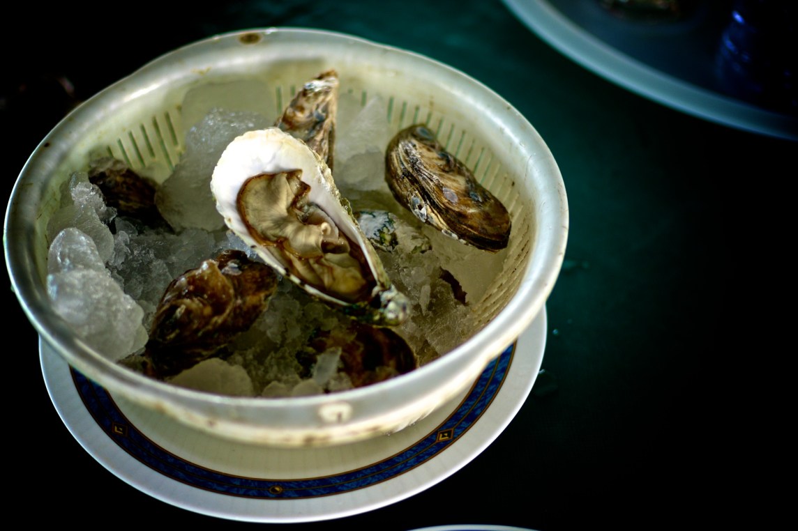 Hai Loong Marineculture 19