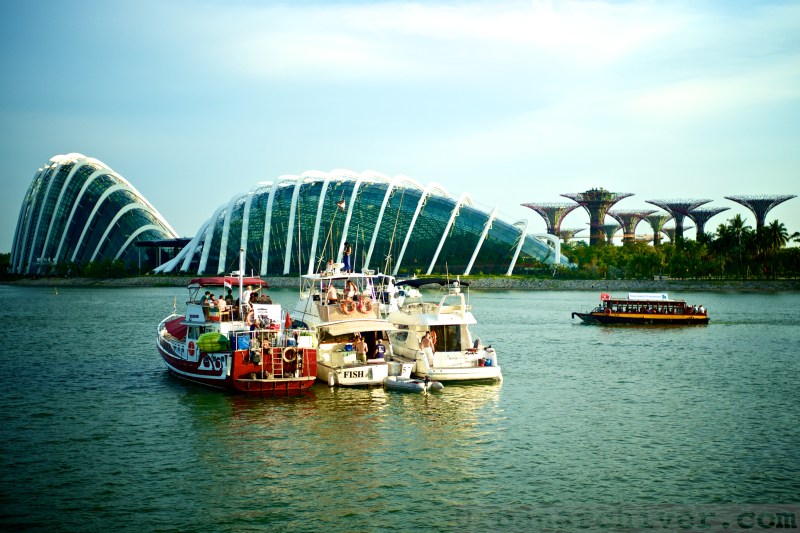 Singapore Formula 1 2013 48