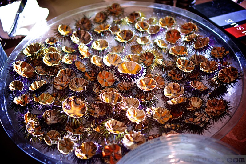 Italian Wedding Sorrento 19