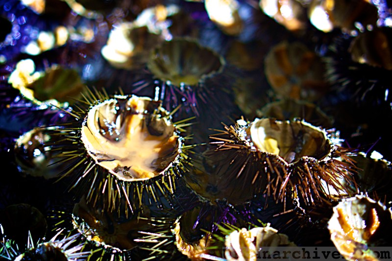 Italian Wedding Sorrento 24