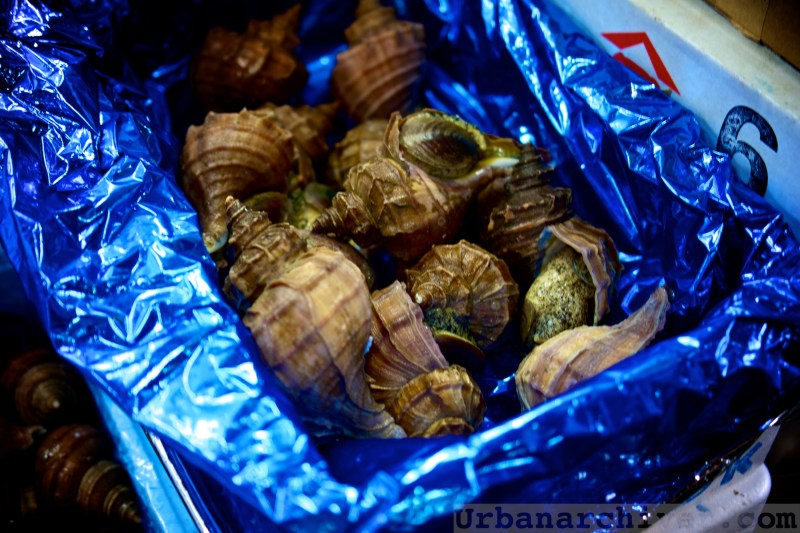 Tsukiji Sushi Dai Aiyo Coffee 13