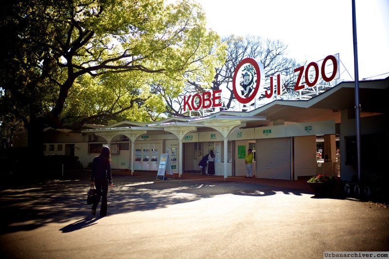 Kobe Oji Zoo 26