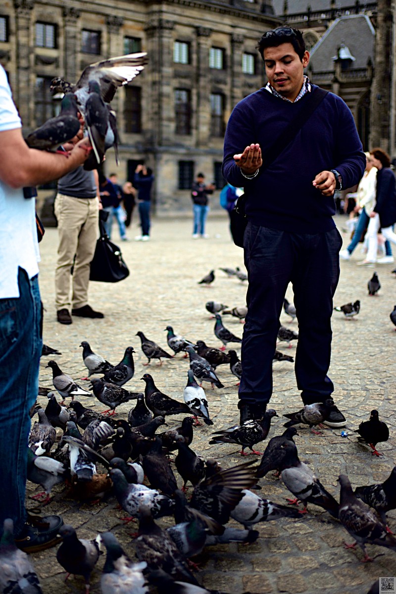 Amsterdam July 2016 03