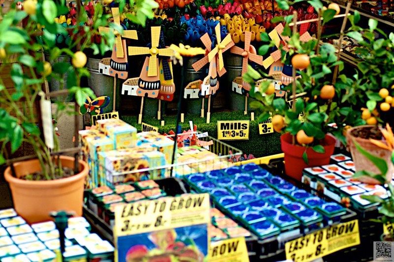 Amsterdam July 2016 13