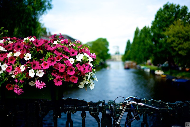 Amsterdam July 2016 18