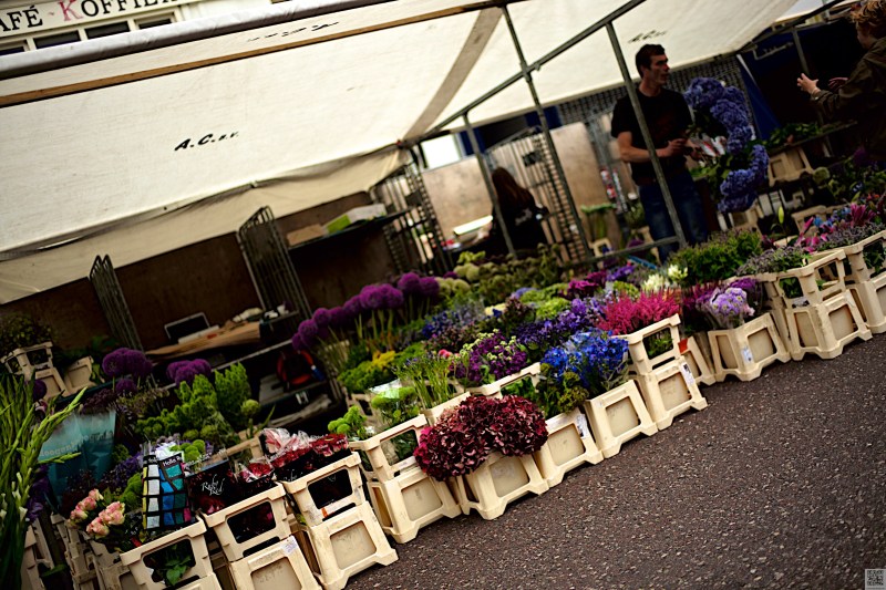 Amsterdam July 2016 45