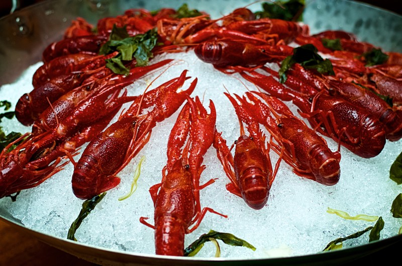 ashelm-sunday-brunch-buffet-06