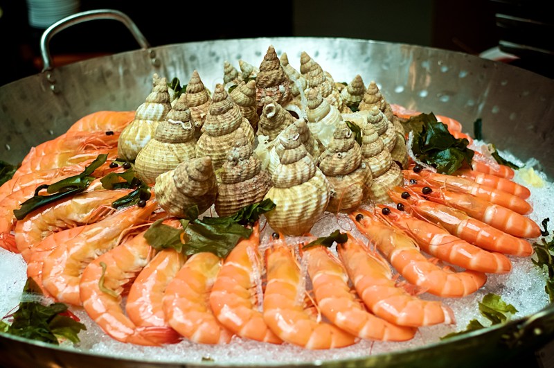 ashelm-sunday-brunch-buffet-07