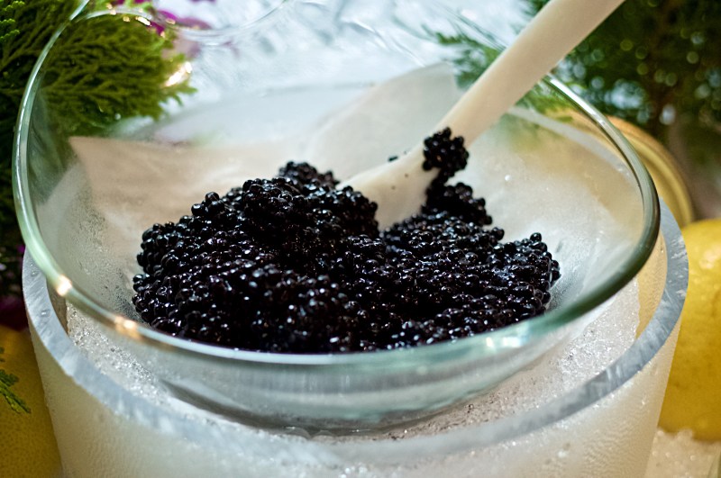 ashelm-sunday-brunch-buffet-18