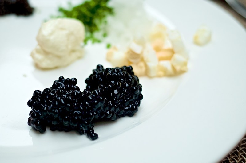 ashelm-sunday-brunch-buffet-21