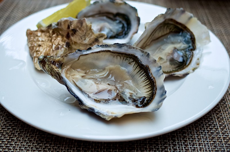 ashelm-sunday-brunch-buffet-23